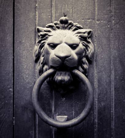 løve, ring, munn, dør Mauro77photo - Dreamstime