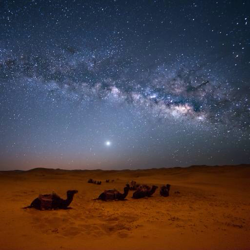 himmel, natt, , ørken, kameler, stjerner, måne Valentin Armianu (Asterixvs)
