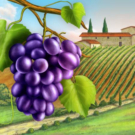 druer, verksted, grønn, blad, vine, farm Andreus - Dreamstime
