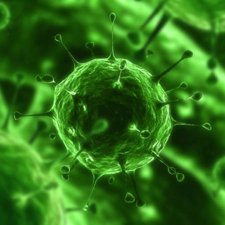 bakterier, virus, insekt, sykdom, celle Sebastian Kaulitzki - Dreamstime