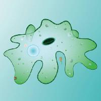 Pixwords Bildet med celle, cellular, grønn, slim, smudge Designua - Dreamstime