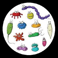Pixwords Bildet med insekter, mikroskop, slim, virus Dedmazay - Dreamstime