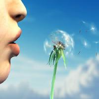 Pixwords Bildet med ansikt, menneske, plante, lepper, blå, himmel, blomst Andreus - Dreamstime