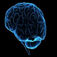 Pixwords Bildet med hode, mann, kvinne, tenke, hjerne Sebastian Kaulitzki - Dreamstime