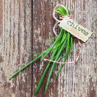 Pixwords Bildet med gressløk, grønn, plante, grønnsak, grønnsaker, tag, tre stockcreations