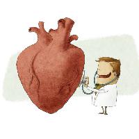 hjerte, lege, ta kontakt, rød, stetoskop Jrcasas