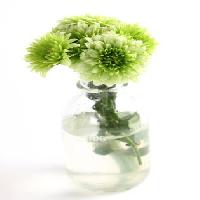 Pixwords Bildet med plante, blomst, grønn, vann, tube, vase Kerstin Aust - Dreamstime