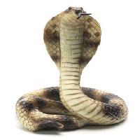 Pixwords Bildet med slange, dyr, Lightzoom - Dreamstime