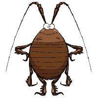 Pixwords Bildet med insekt, stygg Dedmazay - Dreamstime