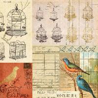 Pixwords Bildet med bur, fugl, fugler, tegning Jodielee