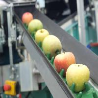 Pixwords Bildet med epler, mat, maskin, fabrikk Jevtic