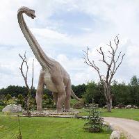 dinosaur, park, tre, trær, dyr Caesarone