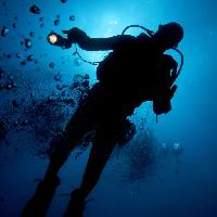 Pixwords Bildet med vann, mann, dykker, blå, lys, bobler Planctonvideo