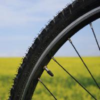 sykkel, hjul, grønn, gress, felt, natur Leonidtit