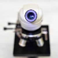 Pixwords Bildet med kamera, linse, mikroskop catiamadio