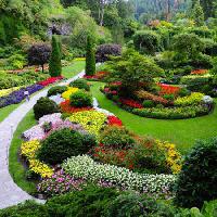 Pixwords Bildet med hage, blomster, farger, grønn Photo168 - Dreamstime