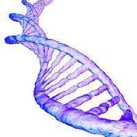 Pixwords Bildet med ADN, genet, human, blod, blålilla Sebastian Kaulitzki - Dreamstime