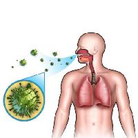 Pixwords Bildet med mann, kropp, lunger, luft, breah, nese, bakterier Andreus - Dreamstime