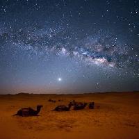 Pixwords Bildet med himmel, natt, , ørken, kameler, stjerner, måne Valentin Armianu (Asterixvs)