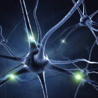 Pixwords Bildet med synapse, hode, nevroner, tilkoblinger Sashkinw - Dreamstime