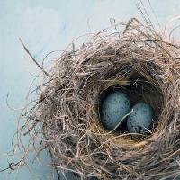 Pixwords Bildet med reir, egg, fugl, blå, hjem, Antaratma Microstock Images © Elena Ray - Dreamstime