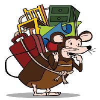 Pixwords Bildet med rotte, reise, rygg, stol, koffert, skap, mus, møbler John Takai - Dreamstime