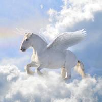 Pixwords Bildet med hest, skyer, fly, vinger Viktoria Makarova - Dreamstime