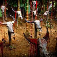 Pixwords Bildet med hode, hoder, skull, hodeskaller, blod, trær, dyr Victor Zastol`skiy - Dreamstime