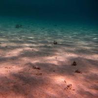 Pixwords Bildet med hav, havbunn, vann, lys, stråler, sand Thomas Eder (Thomaseder)