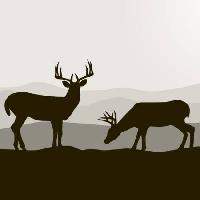 Pixwords Bildet med hjort, rådyr, svart, landskap, dyr, dyr Dagadu - Dreamstime