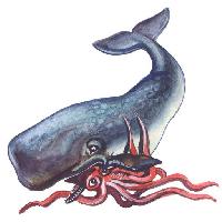 Pixwords Bildet med fisk, dyr, hval, blekksprut Palych