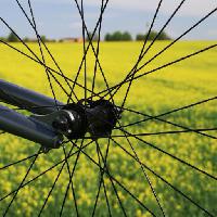 Pixwords Bildet med hjul, jord, gress, felt, sykkel, gul Leonidtit