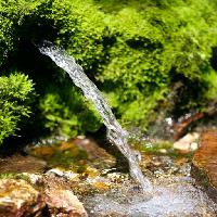 Pixwords Bildet med grønt, vann, natur Akinshin