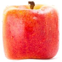 Pixwords Bildet med eple. rød, gul, spise, mat Sergey02 - Dreamstime