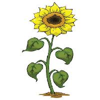 Pixwords Bildet med gul, vokse, blomst, grønn, plante Dedmazay - Dreamstime