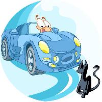 bil, kjøring, katt, dyr Verzhh