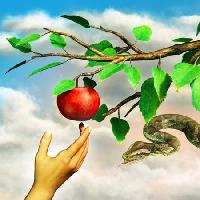 eple, slange, gren, grønn, blader, hånd Andreus - Dreamstime