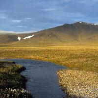 Pixwords Bildet med vann, natur, fjell, gul, felt, snø, elv Alexander Gruzdev (Gruzdevar)