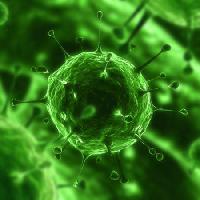 Pixwords Bildet med bakterier, virus, insekt, sykdom, celle Sebastian Kaulitzki - Dreamstime