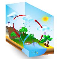 Pixwords Bildet med vann, sol, trær, innsjø, tre, skyer, regn Designua