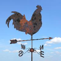 Pixwords Bildet med hane, pil, himmel, skyer, dyr, kylling Julien Tromeur (Julos)